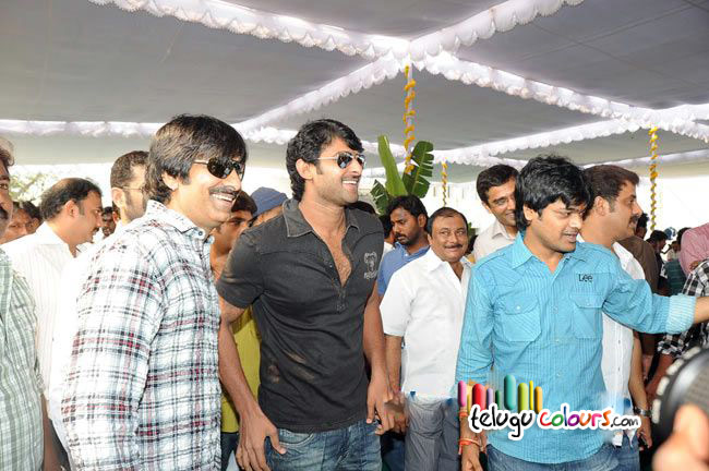 Raviteja New Movie Mirapakaya wallpapers